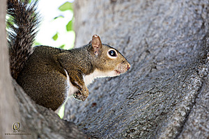 SacZoo_PH21_IMG_1035.jpg