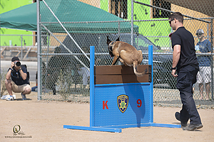 K9T_PH21_IMG_0288.jpg
