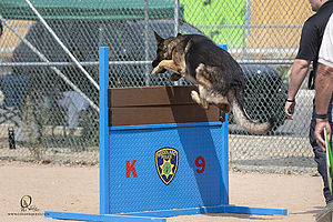 K9T_PH21_IMG_0328.jpg