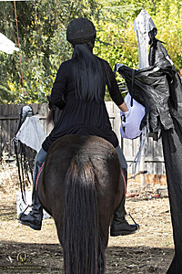048_Spook_PH22_IMG_2460.jpg