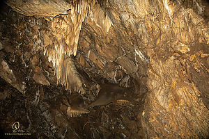 BlkChasmCav_PH26_IMG_9613-Enhanced-NR.jpg