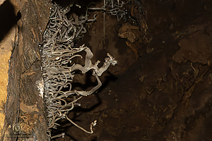 BlkChasmCav_PH26_IMG_9618-Enhanced-NR.jpg