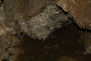 BlkChasmCav_PH26_IMG_9621-Enhanced-NR.jpg