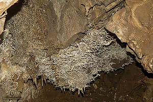 BlkChasmCav_PH26_IMG_9624-Enhanced-NR.jpg