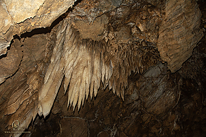BlkChasmCav_PH26_IMG_9650-Enhanced-NR.jpg