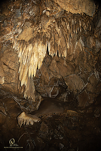BlkChasmCav_PH26_IMG_9664-Enhanced-NR.jpg