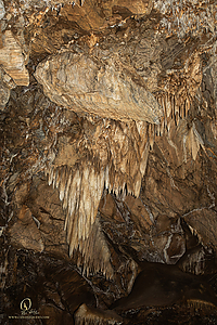BlkChasmCav_PH26_IMG_9694-Enhanced-NR.jpg