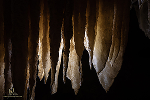 BlkChasmCav_PH26_IMG_9705-Enhanced-NR.jpg