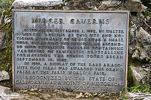 MercerCav_PH26_IMG_9285-Enhanced-NR.jpg