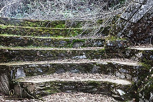 MercerCav_PH26_IMG_9293-Enhanced-NR.jpg