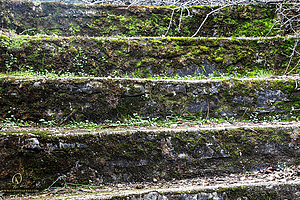 MercerCav_PH26_IMG_9294-Enhanced-NR.jpg