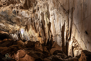 MercerCav_PH26_IMG_9307-Enhanced-NR.jpg