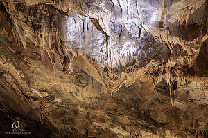 MercerCav_PH26_IMG_9317-Enhanced-NR.jpg