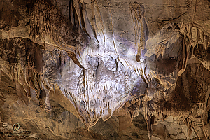 MercerCav_PH26_IMG_9319-Enhanced-NR.jpg