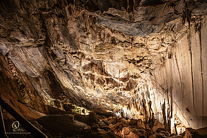 MercerCav_PH26_IMG_9321-Enhanced-NR.jpg
