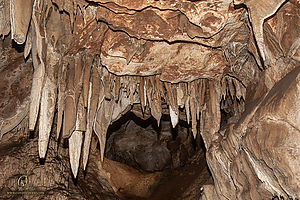 MercerCav_PH26_IMG_9343-Enhanced-NR.jpg