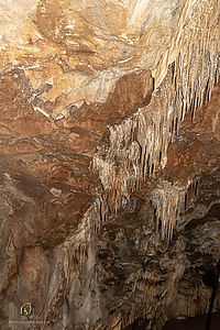 MercerCav_PH26_IMG_9344-Enhanced-NR.jpg