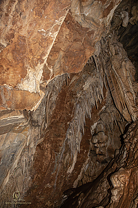MercerCav_PH26_IMG_9350-Enhanced-NR.jpg
