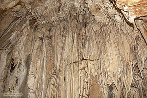 MercerCav_PH26_IMG_9352-Enhanced-NR.jpg