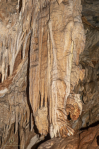 MercerCav_PH26_IMG_9355-Enhanced-NR.jpg