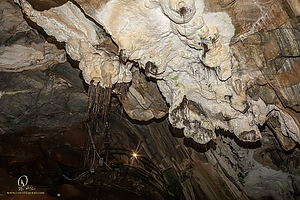 MercerCav_PH26_IMG_9358-Enhanced-NR.jpg