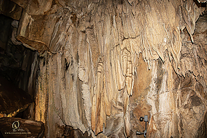 MercerCav_PH26_IMG_9361-Enhanced-NR.jpg