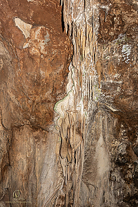 MercerCav_PH26_IMG_9371-Enhanced-NR.jpg