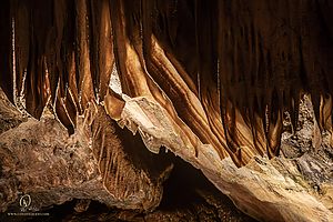MercerCav_PH26_IMG_9377-Enhanced-NR.jpg