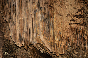 MercerCav_PH26_IMG_9384-Enhanced-NR.jpg