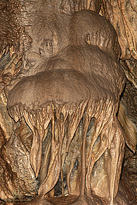 MercerCav_PH26_IMG_9385-Enhanced-NR.jpg