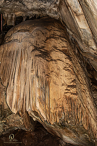 MercerCav_PH26_IMG_9388-Enhanced-NR.jpg