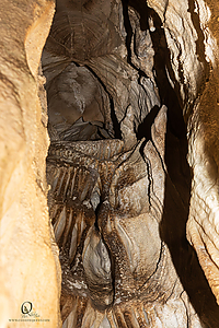 MercerCav_PH26_IMG_9391-Enhanced-NR.jpg