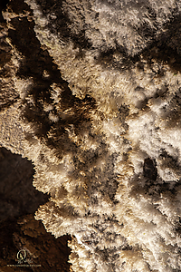 MercerCav_PH26_IMG_9405-Enhanced-NR.jpg