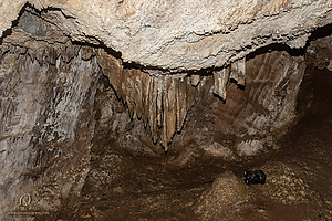 MercerCav_PH26_IMG_9416-Enhanced-NR.jpg