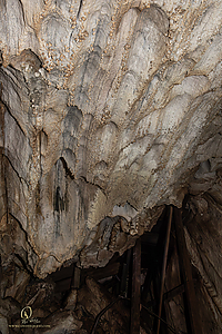 MercerCav_PH26_IMG_9417-Enhanced-NR.jpg