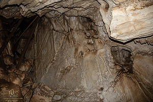 MercerCav_PH26_IMG_9418-Enhanced-NR.jpg