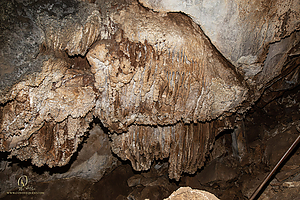 MercerCav_PH26_IMG_9420-Enhanced-NR.jpg