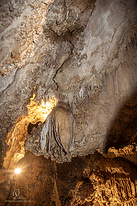 MercerCav_PH26_IMG_9423-Enhanced-NR.jpg
