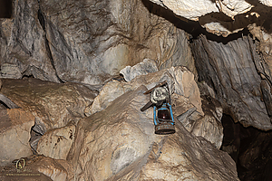 MercerCav_PH26_IMG_9424-Enhanced-NR.jpg