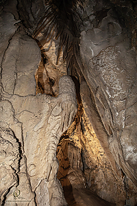 MercerCav_PH26_IMG_9445-Enhanced-NR.jpg