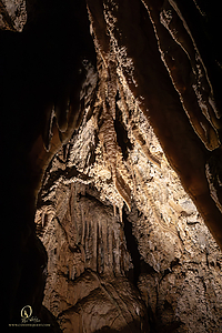 MercerCav_PH26_IMG_9447-Enhanced-NR.jpg