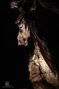 MercerCav_PH26_IMG_9449-Enhanced-NR.jpg