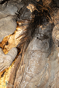 MercerCav_PH26_IMG_9455-Enhanced-NR.jpg
