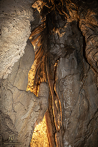 MercerCav_PH26_IMG_9456-Enhanced-NR.jpg