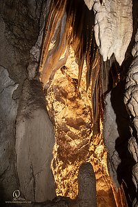 MercerCav_PH26_IMG_9457-Enhanced-NR.jpg