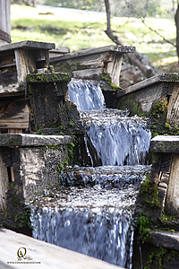 MercerCav_PH26_IMG_9474-Enhanced-NR.jpg