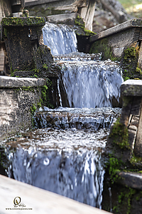 MercerCav_PH26_IMG_9478-Enhanced-NR.jpg
