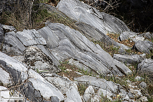 MercerCav_PH26_IMG_9523-Enhanced-NR.jpg