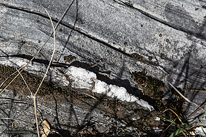MercerCav_PH26_IMG_9525-Enhanced-NR.jpg