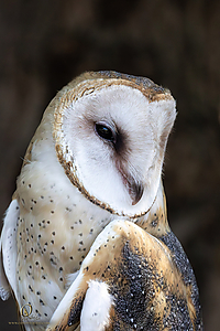 CRC_PH25_IMG_6079-Enhanced-NR.jpg